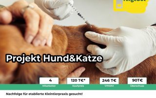 Kleintierpraxis in der Region Hannover sucht Nachfolger