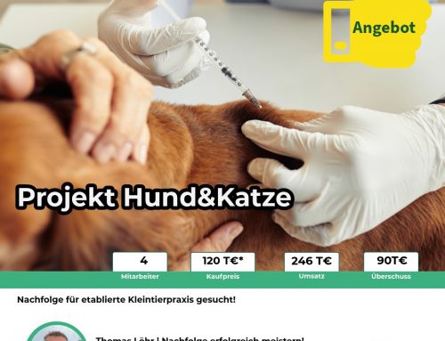 Projekt Hund&Katze